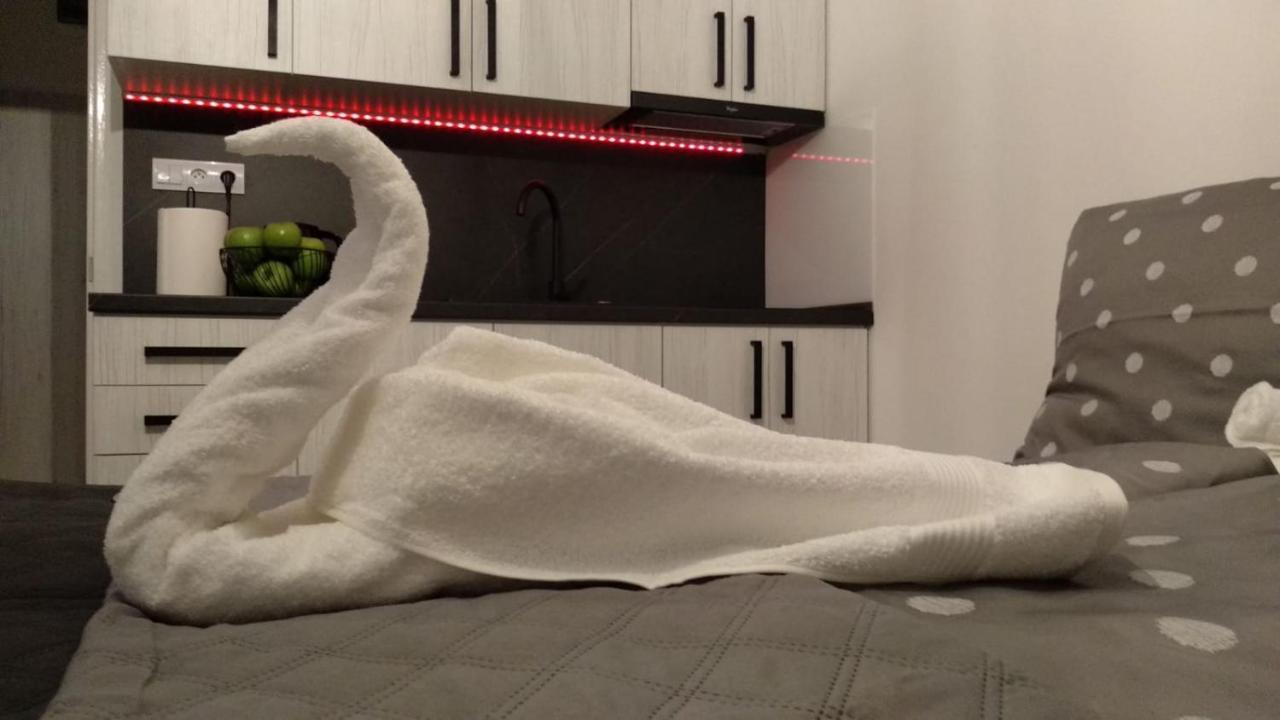 Apartment Nina Стара-Любовня Экстерьер фото